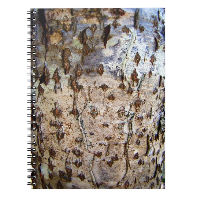 Carnet photo Birch Tree Bark (Devant)