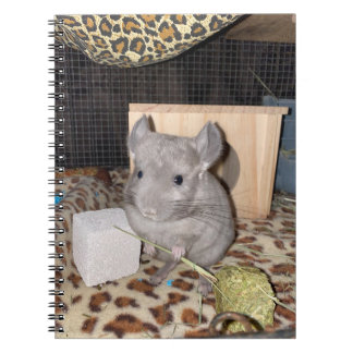 Carnet photo Chinchilla Spiral