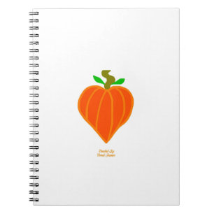 Carnet photo citrouille Coeur Spiral