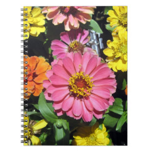 Carnet photo coloré