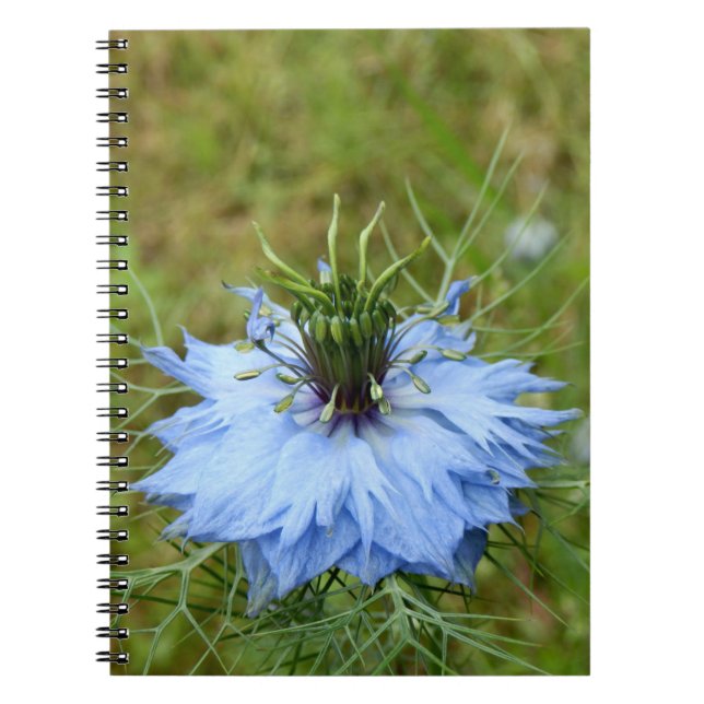 Carnet photo Cornflower Spiral (Devant)
