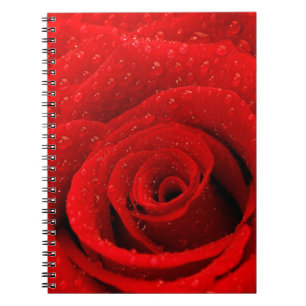 Carnet Photo d'arrière - plan de rose rouge