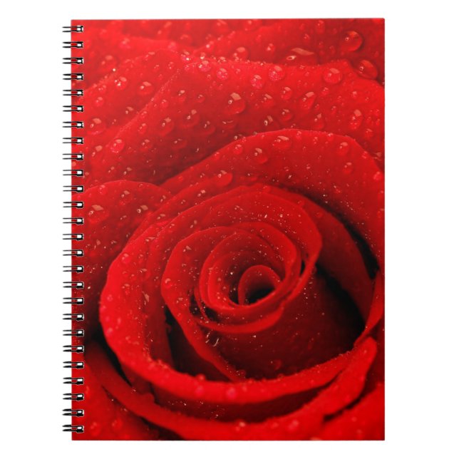 Carnet Photo d'arrière - plan de rose rouge (Devant)