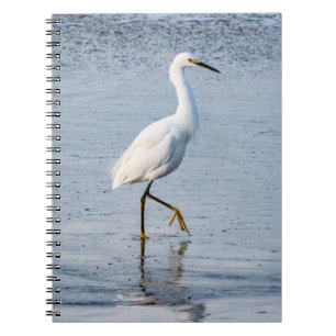 Carnet Photo d'art fin Aigrette