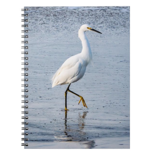Carnet Photo d'art fin Aigrette (Devant)