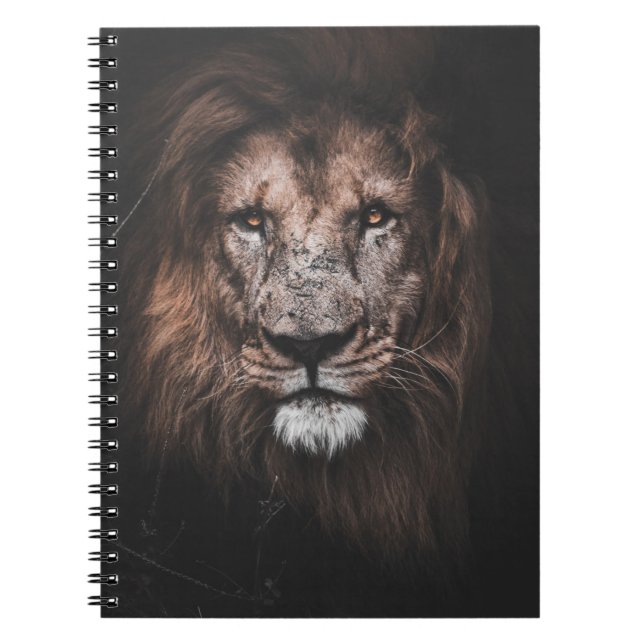 CARNET PHOTO DE BROWN LION (Devant)