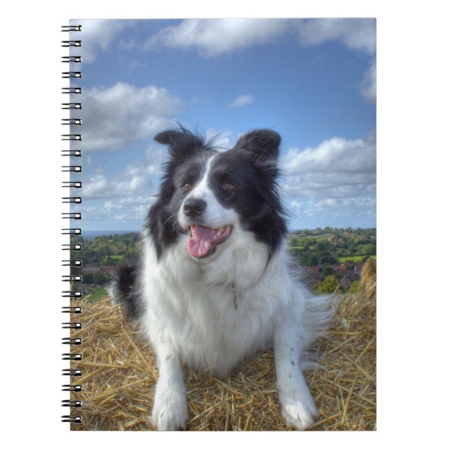 Carnet Photo de chien Border Collie mignon (Devant)