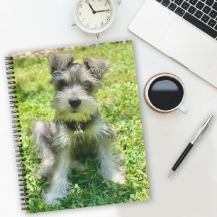 Carnet photo de chien personnalisé