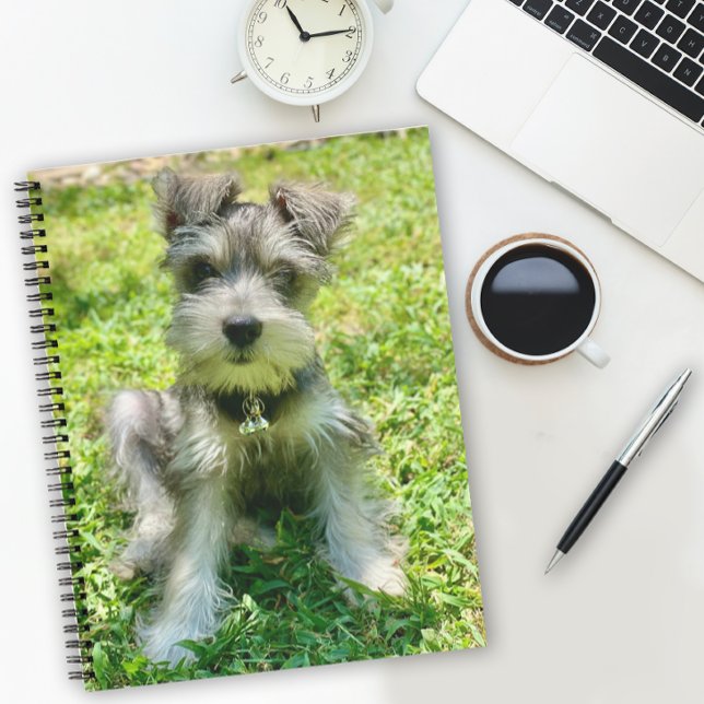 Carnet photo de chien personnalisé (Add your own favorite pet photo to this notebook or enjoy this cute Schnauzer puppy.)