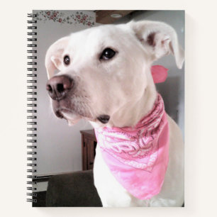 Carnet Photo de chiot blanc mignon portant une écharpe ro