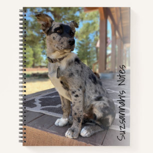 Carnet Photo de couverture de chien de bétail adorable re
