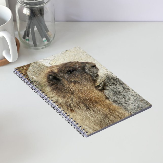 Carnet Photo de faune de Marmotte huppée (In Situ)