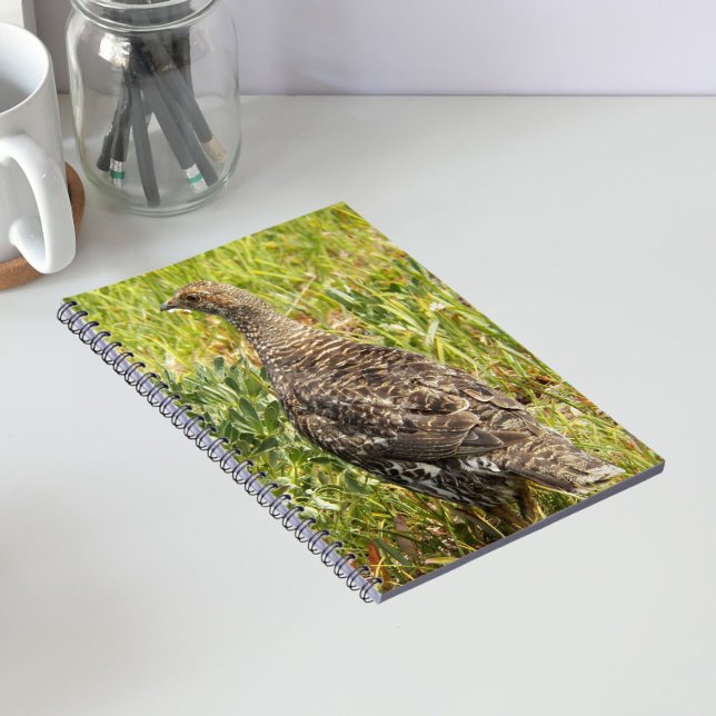Carnet Photo de faune de Tétras fuligineux (In Situ)
