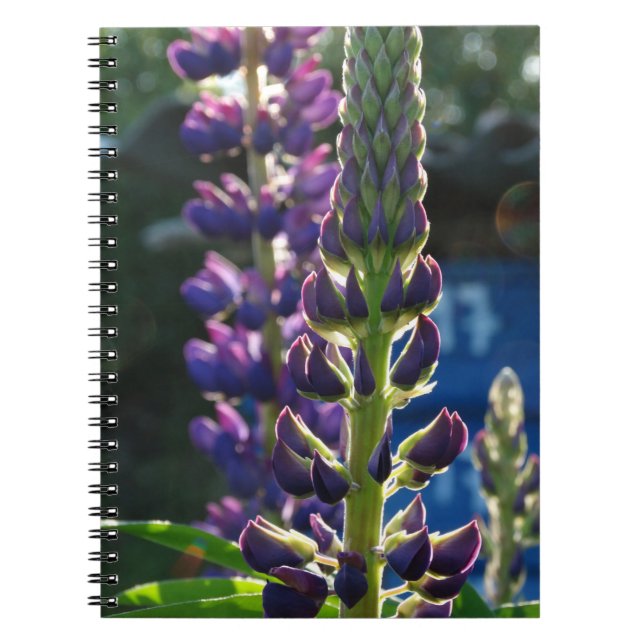 Carnet photo de fleurs violettes (Devant)