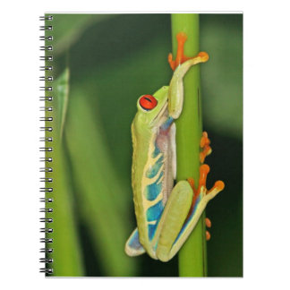 Carnet Photo de grenouille d'arbre