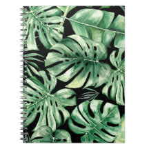 Carnet photo de la feuille Monstera Spiral