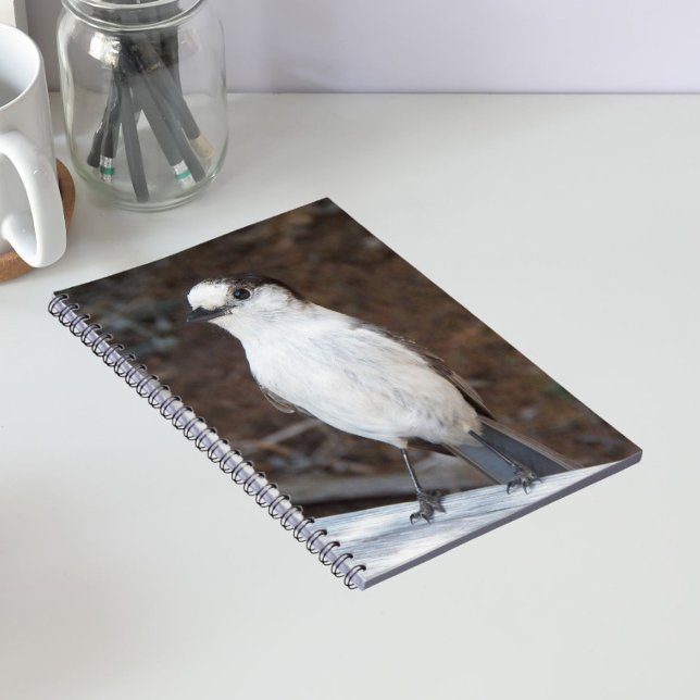 Carnet Photo de la nature de Whiskey Jack mignon (In Situ)