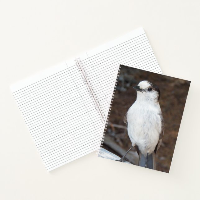 Carnet Photo de la nature d'un oiseau Whiskey Jack mignon (Intérieur)
