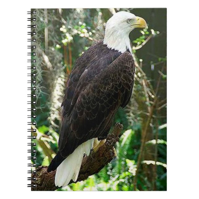 Carnet photo de la spirale de l'aigle chauve (Devant)