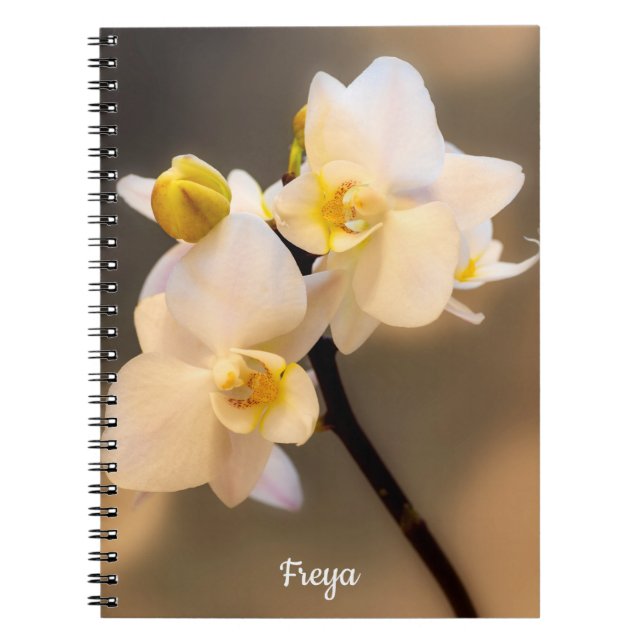 Carnet photo de la spirale de l'orchidée blanche (Devant)