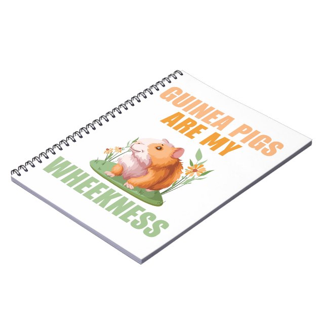 Carnet photo de la vitesse (Côté gauche)