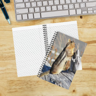 Carnet Photo de nature d'écureuil terrestre à manteau dor