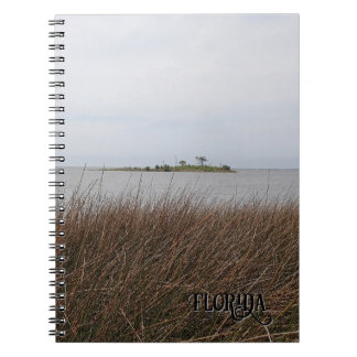 Carnet Photo de Needlerush menaçant de la plage du golfe 
