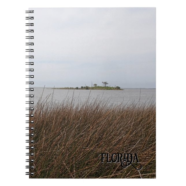Carnet Photo de Needlerush menaçant de la plage du golfe  (Devant)