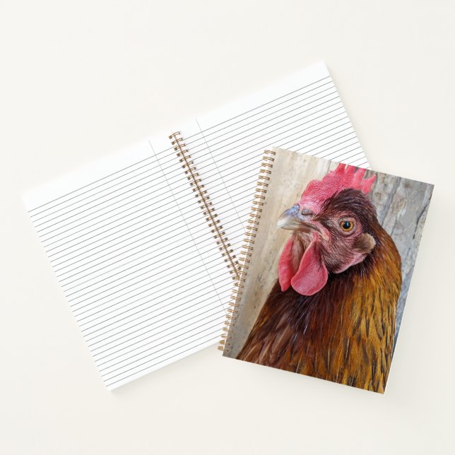 Carnet Photo de poule rouge (Intérieur)