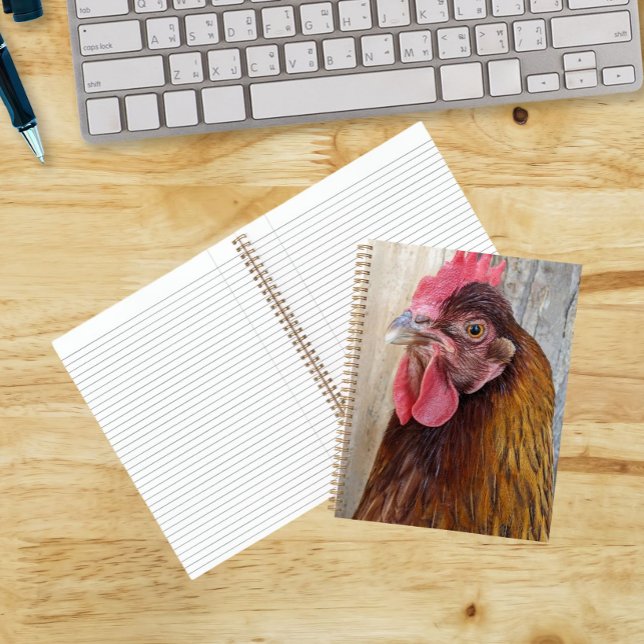 Carnet Photo de poule rouge (In Situ)