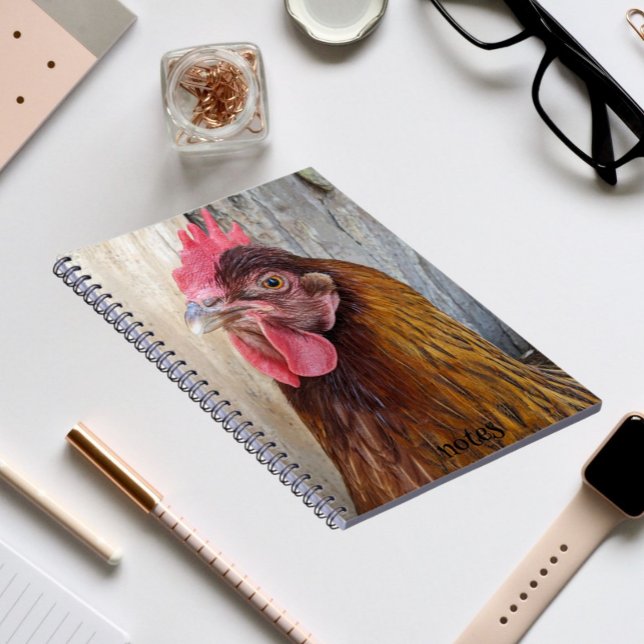 Carnet Photo de poule rouge (In Situ)