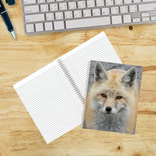 Carnet Photo de renard roux mignon (In Situ)