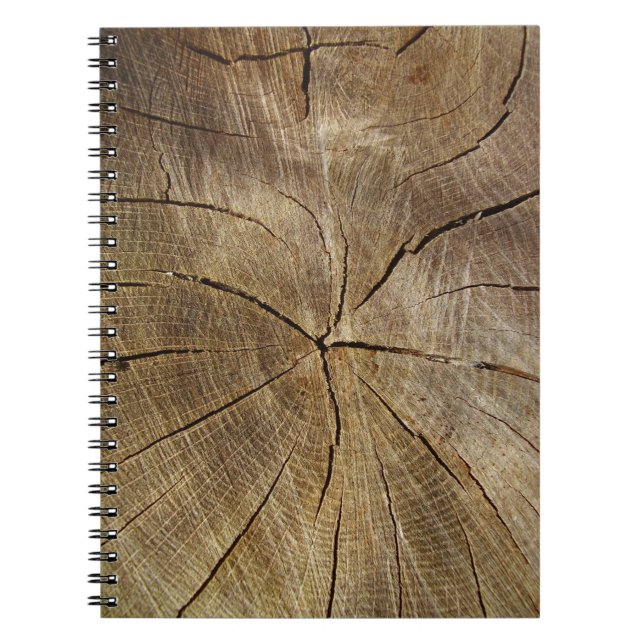 Carnet photo de section de coupe de chêne (Devant)