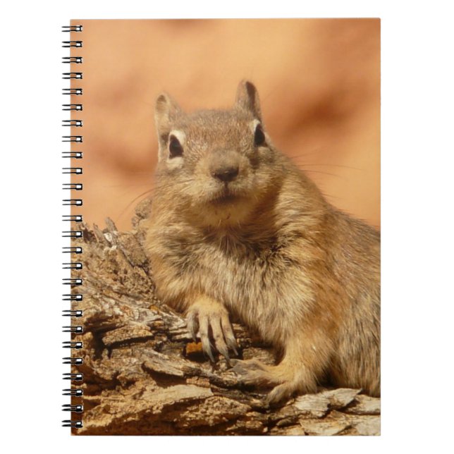 Carnet Photo d'écureuil terrestre (Devant)