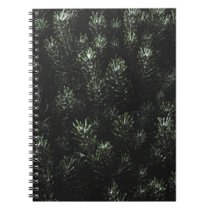 Carnet Photo du plante de sapin vert
