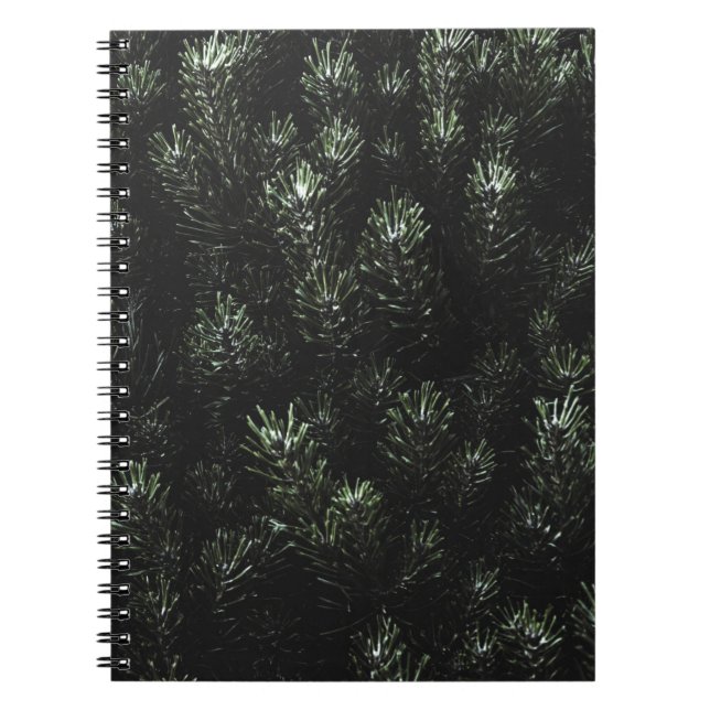 Carnet Photo du plante de sapin vert (Devant)