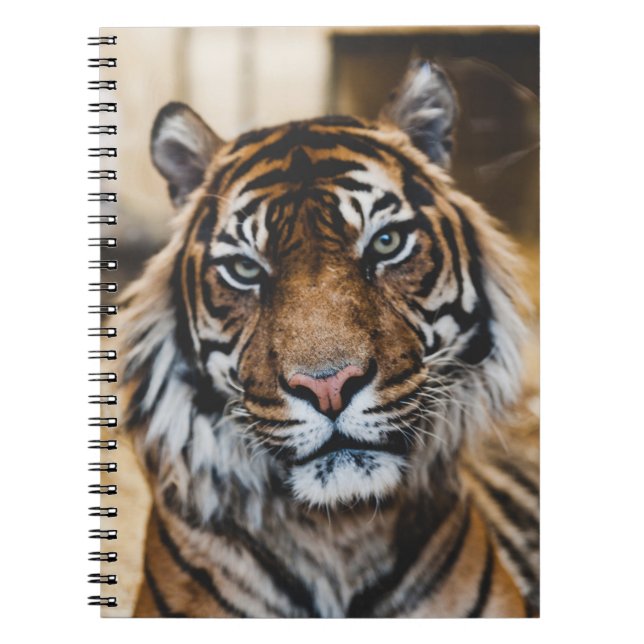CARNET PHOTO DU VISAGE DE TIGER (Devant)