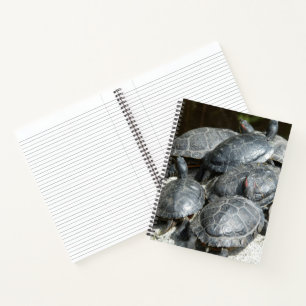 Carnet Photo d'un groupe de tortues d'étang