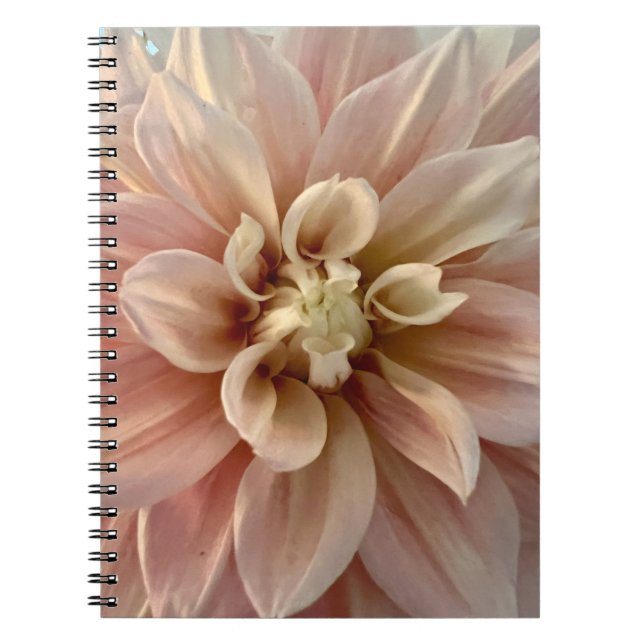 Carnet Photo d'une fleur de la Nouvelle-Angleterre (Devant)