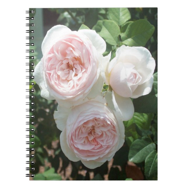 Carnet photo en Rose rose clair (Devant)
