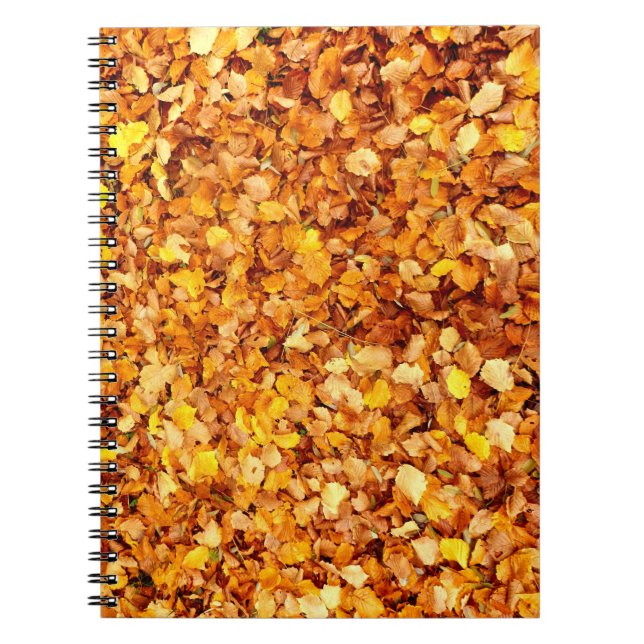 Carnet photo Feuilles d'automne (Devant)