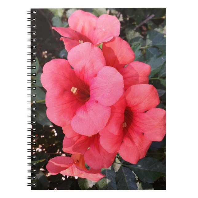 Carnet photo Fleurs roses (Devant)