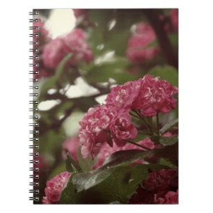 Carnet photo Fleurs roses (80 Pages B&W)