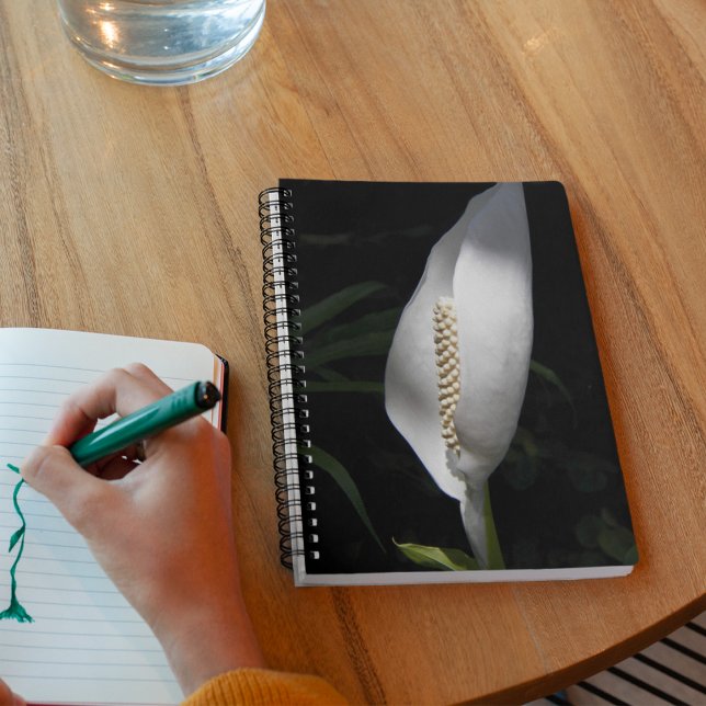 Carnet Photo Florale White Peace Lily (In Situ)