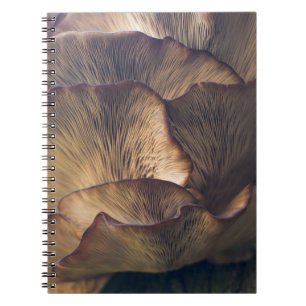 Carnet Photo focale sélective du champignon