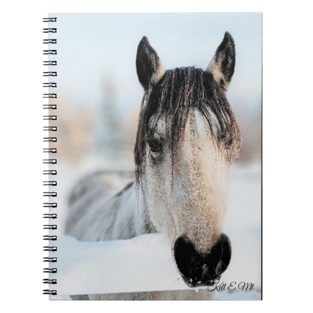 Carnet photo Horse (Devant)