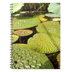 Carnet photo Lily Pads