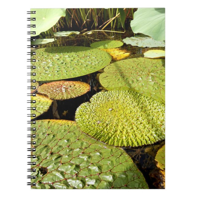 Carnet photo Lily Pads (Devant)