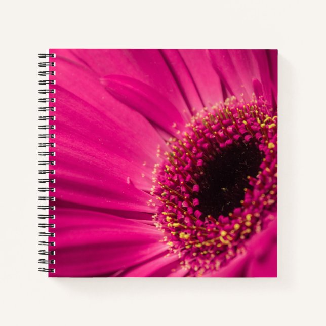 Carnet Photo, macro (Devant)