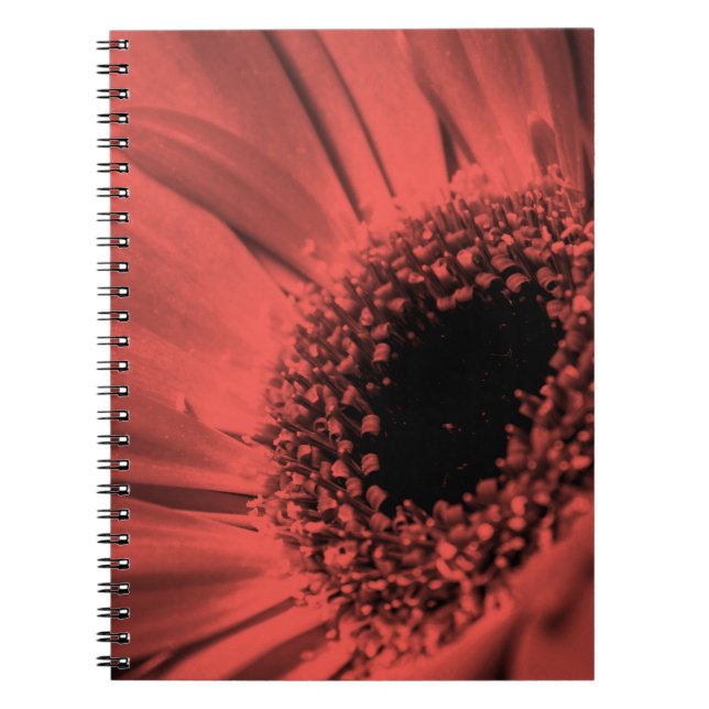 Carnet Photo, macro (Devant)